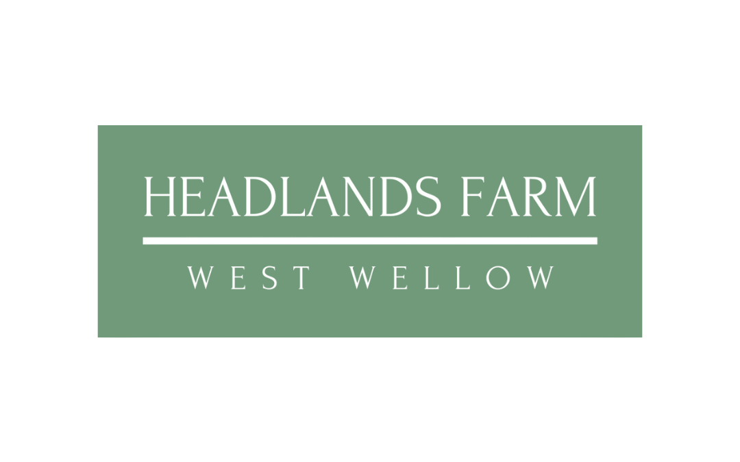 Headlands Farm | Lakeside fishing, cosy lodges & countryside coffee near Romsey